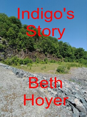 cover image of Indigo's Story